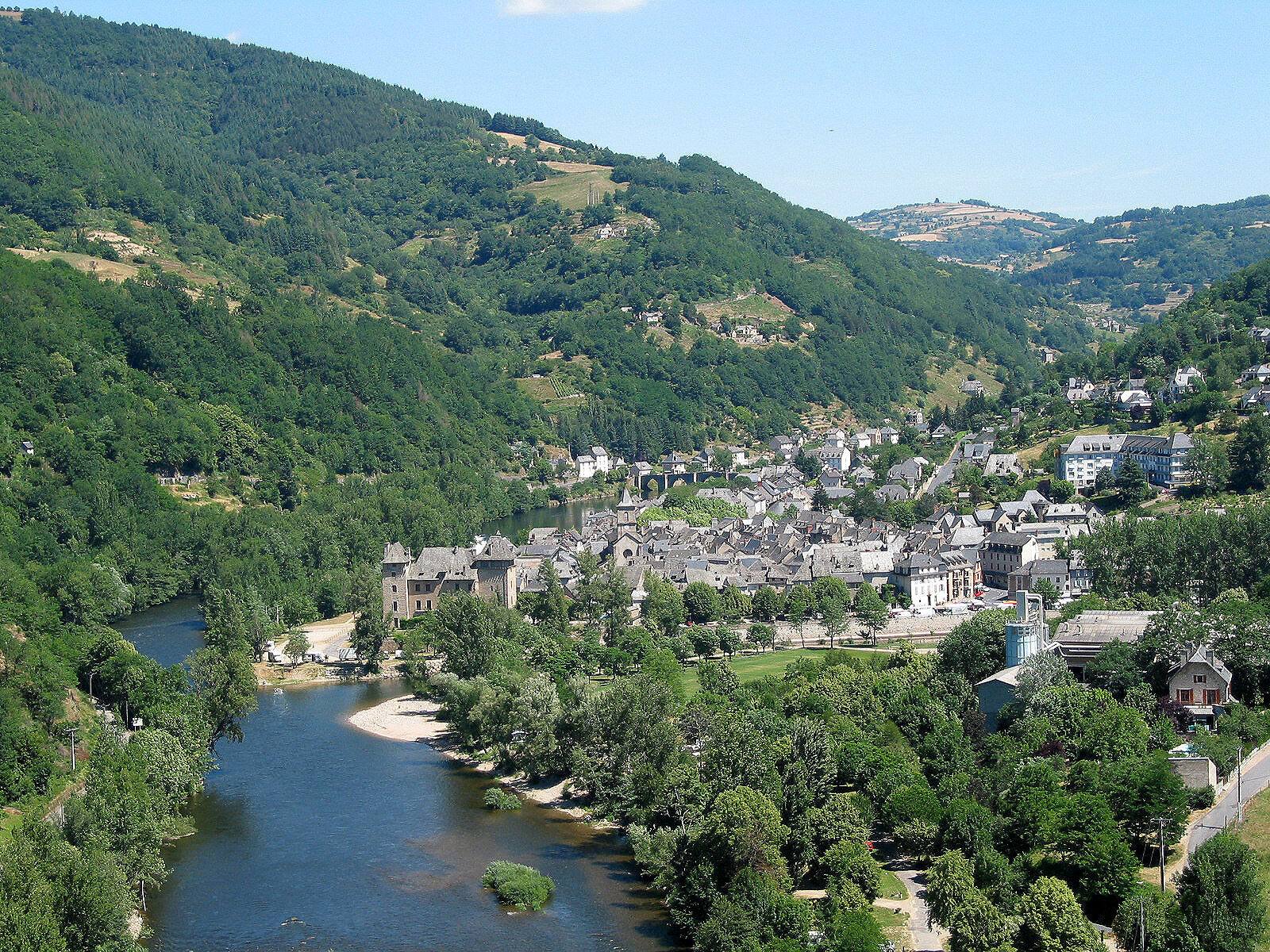 Entraygues-sur-Truyère vu des hauteurs, ses toits au bord de la rivière entre les collines boisées