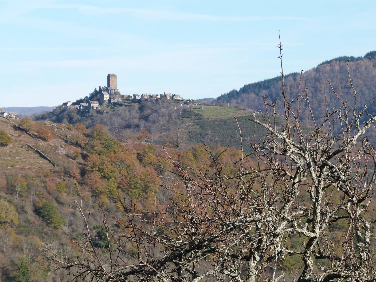 Le village de Valon et son donjon sur l'éperon rocheux, vus de loin au-dessus des gorges de la Truyère